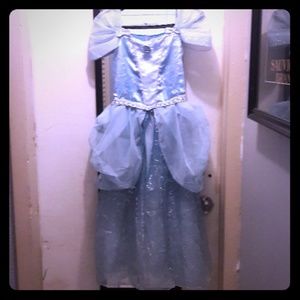 Disney Cinderella Gown